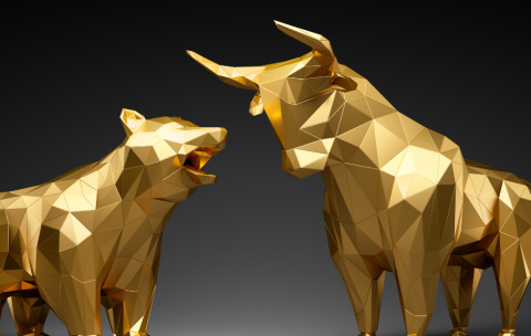 Forex Fundamentals (2)