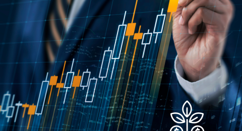 Untitled design - 2024-05-09T152125.348