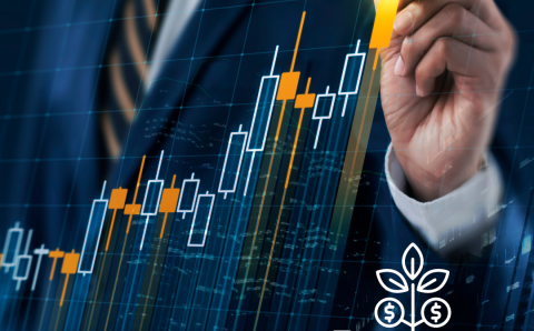 Untitled design - 2024-05-09T152125.348