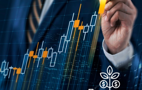 Untitled design - 2024-05-09T152125.348