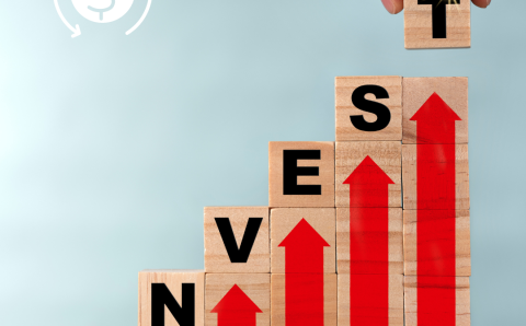 Untitled design - 2024-05-09T153703.286