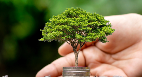 Untitled design - 2024-05-10T103304.940