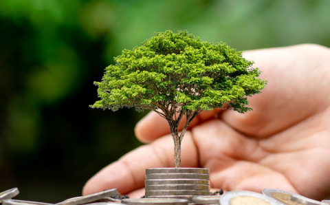 Untitled design - 2024-05-10T103304.940